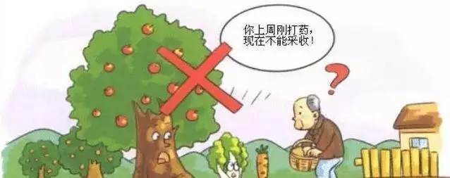  食品安全如何保證？